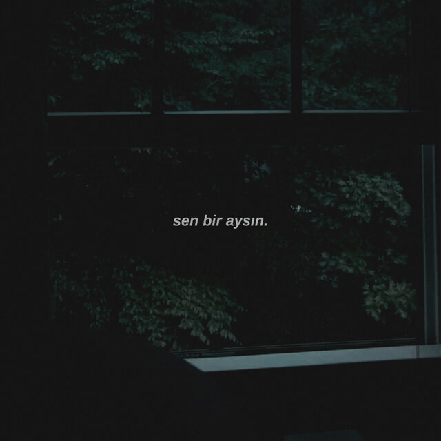 Sen Bir Aysın