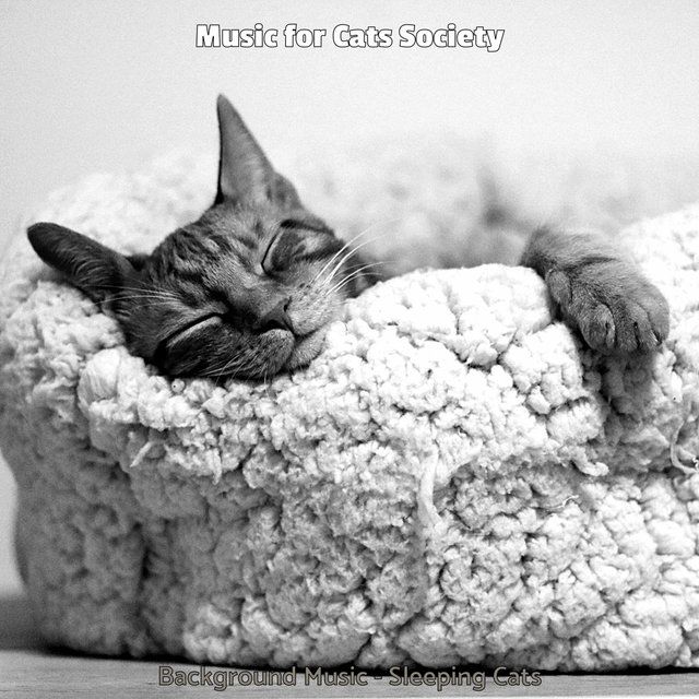 Background Music - Sleeping Cats