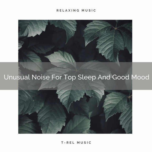 Unusual Noise For Top Sleep And Good Mood
