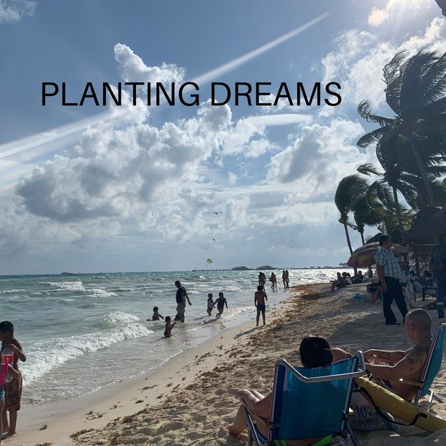 Planting Dreams (feat. Marito Marques)