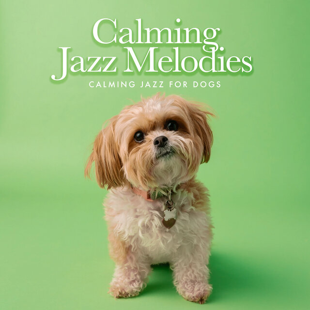 Calming Jazz Melodies