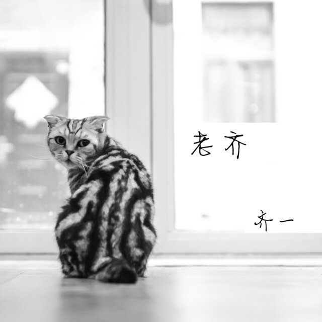 Mr Qi