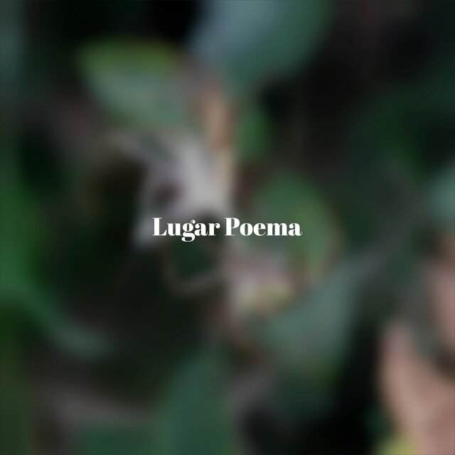 Lugar Poema