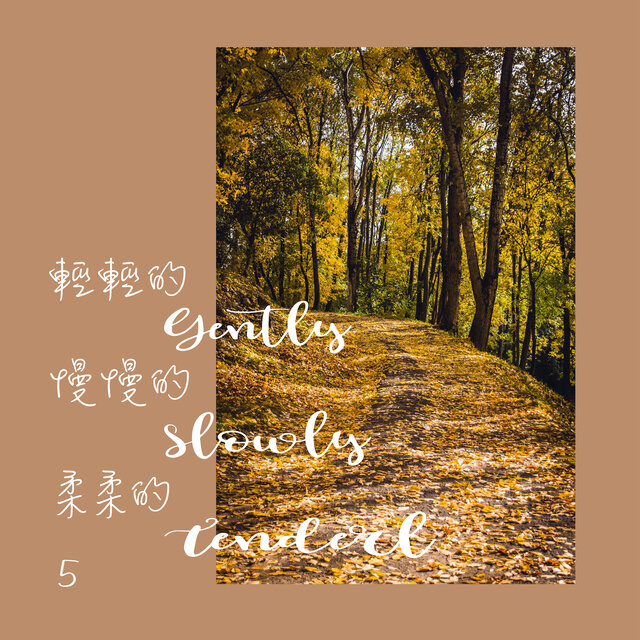 輕輕的慢慢的柔柔的 5