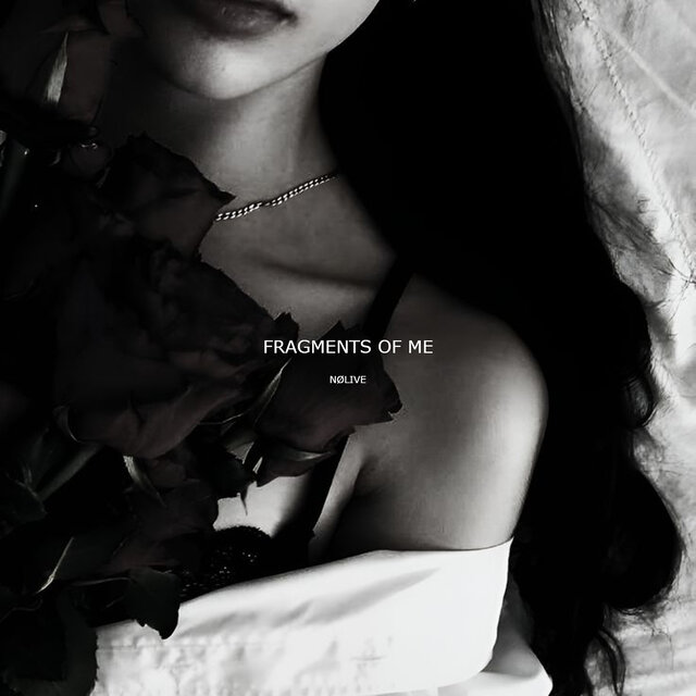 Fragments of Me