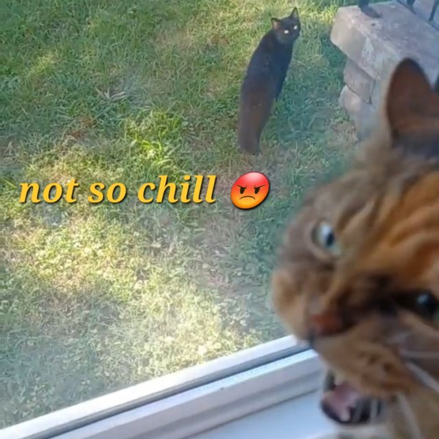 Not So Chill