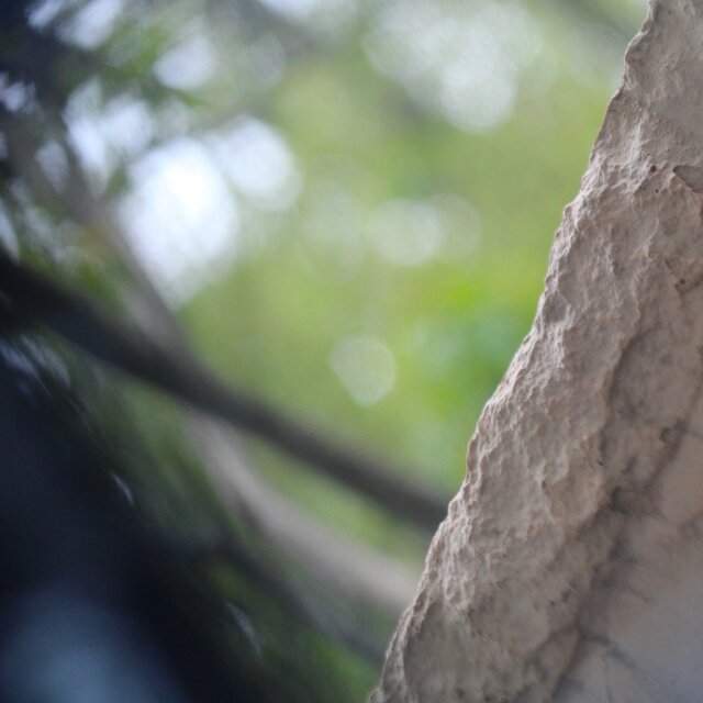 Ambient 1