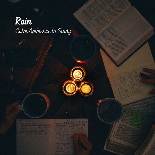 Rain: Calm Ambience to Study