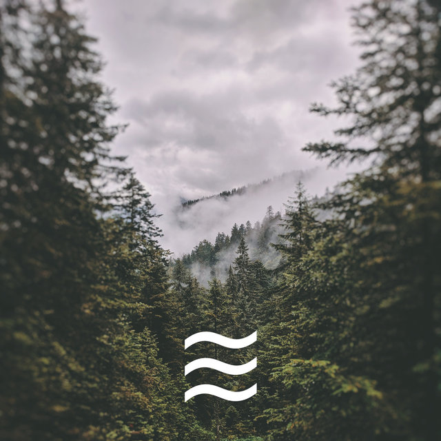 Sounds of Trees in the Forest