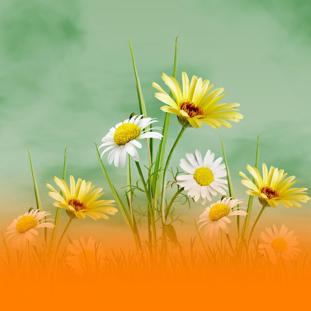 Soothing Wellness Music For Sleep And Daily Relaxation With Gentle Nature Sounds And Soft Melodies