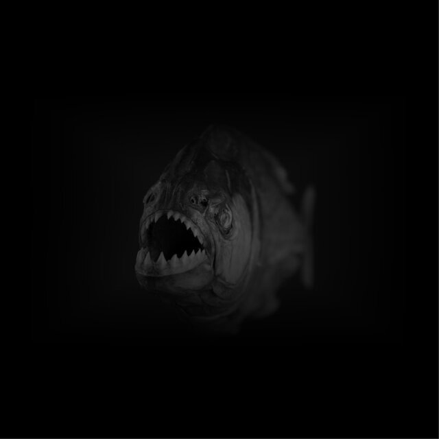 Piranhas
