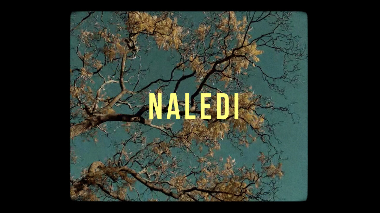 Naledi