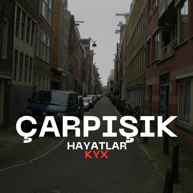 ÇARPIŞIK HAYATLAR