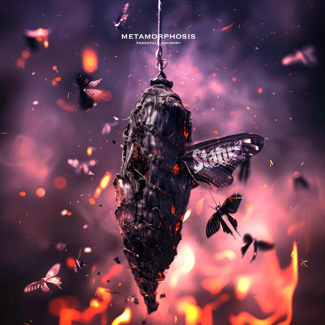 Metamorphosis: Transfiguration
