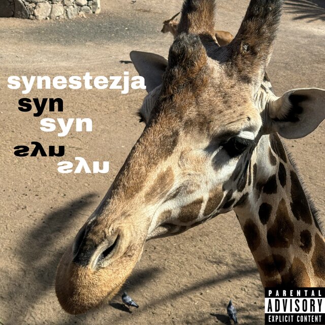 synestezja