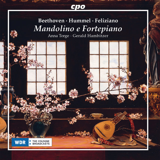 Mandolino e fortepiano