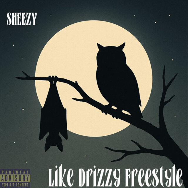 Like Drizzy Freestyle