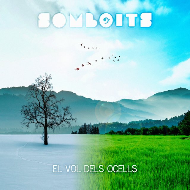 El vol dels ocells