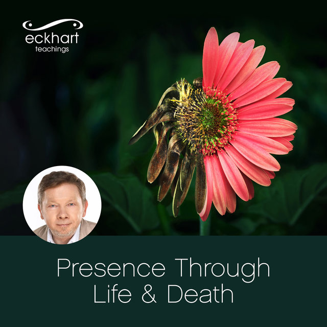 Presence Through Life & Death