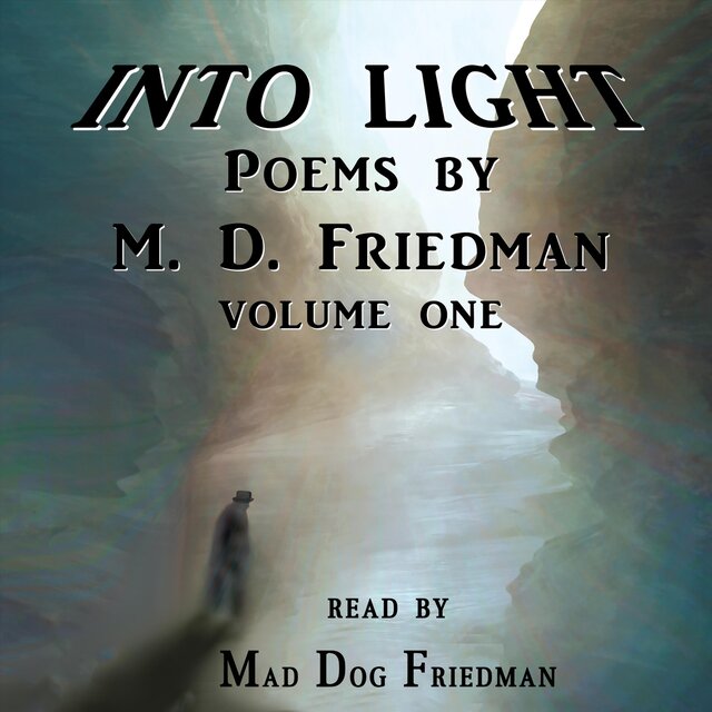 Into Light: Poems by M. D. Friedman, Vol. One