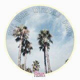 Roll Your Windows Down! (Shrem Remix - Extended Mix)