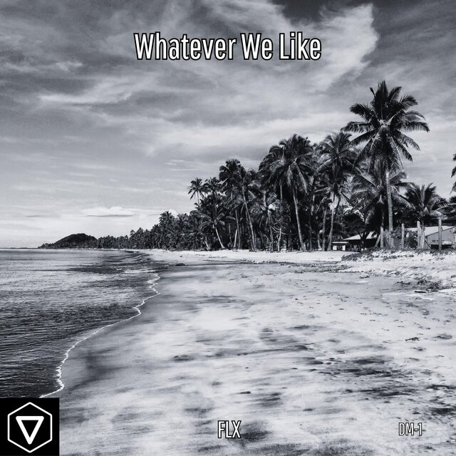 Whatever We Like