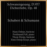 Dichterliebe, Op. 48: XVI. Die alten, bösen Lieder