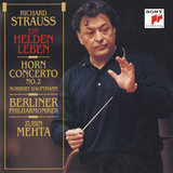 Ein Heldenleben, Op. 40, TrV 190: Der Held