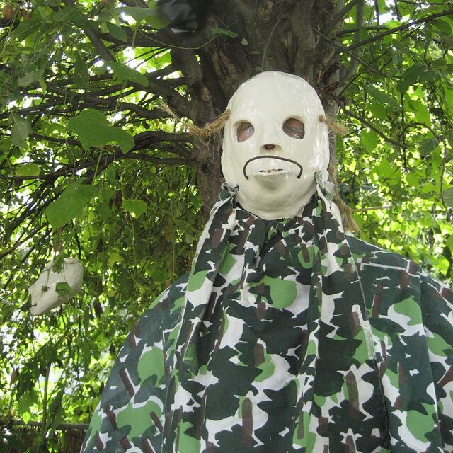 Garden Improvisations