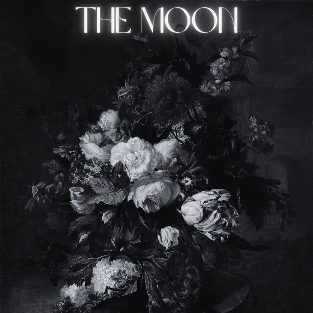 The Moon