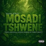 Mosadi Tshwene (Lost File) (feat. ABITOLA, Lunar Parks & Yusuf Scott)