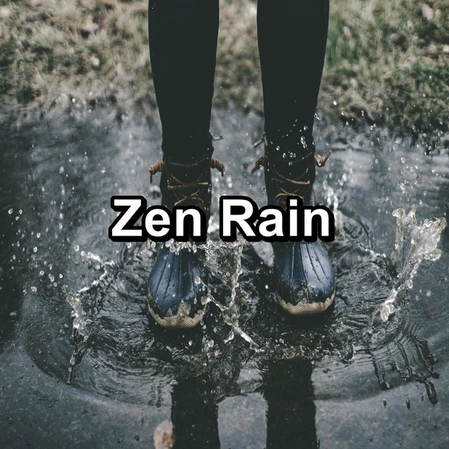 Zen Rain