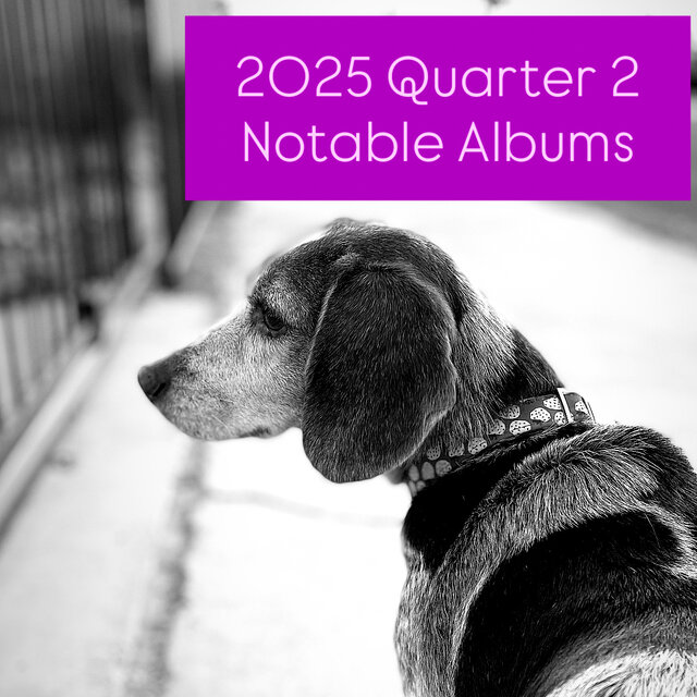Cover art for album 2025-Quarter 2-Notable Albums by User