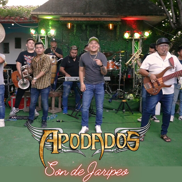 Son de Jaripeo