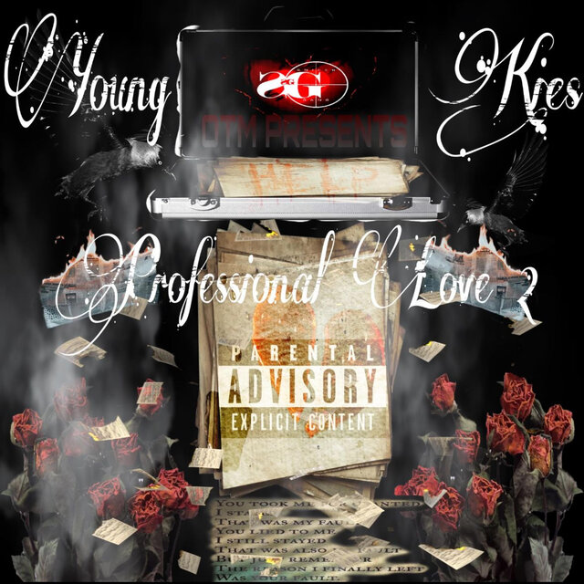 Professional love 2