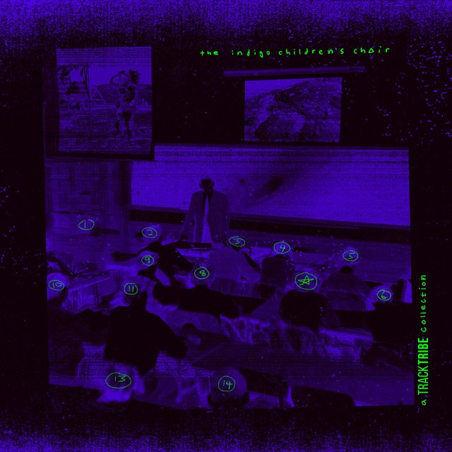 The Indigo Children's Choir