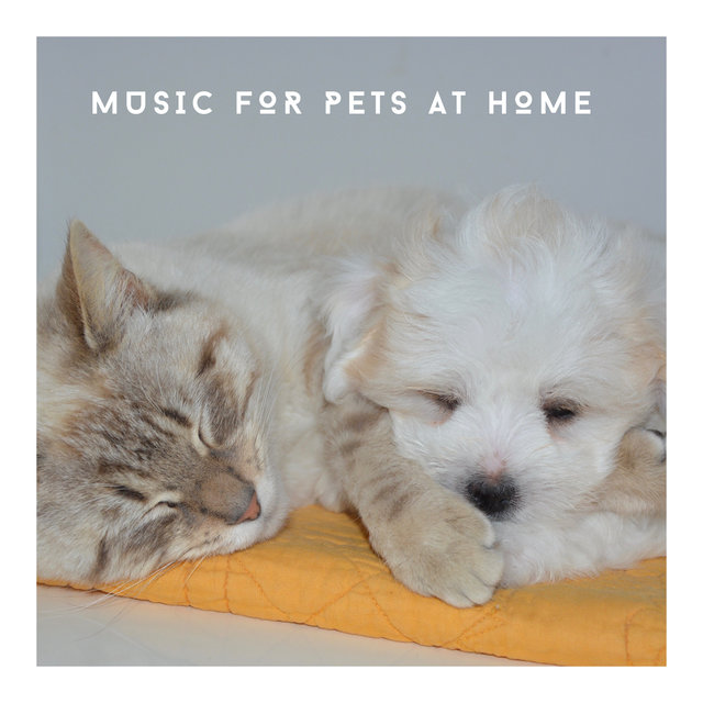Music For Pets At Home Alone