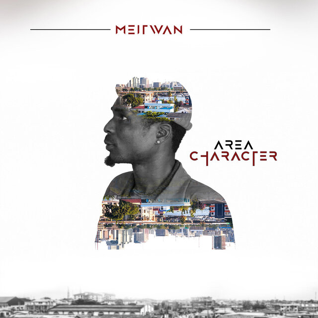 Area Character