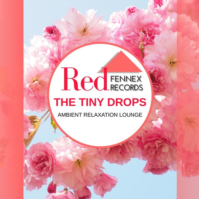 The Tiny Drops - Ambient Relaxation Lounge