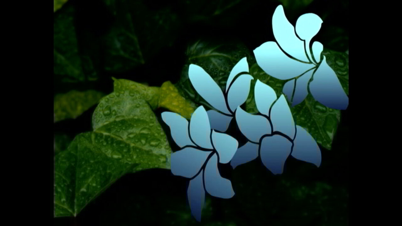 Hikari