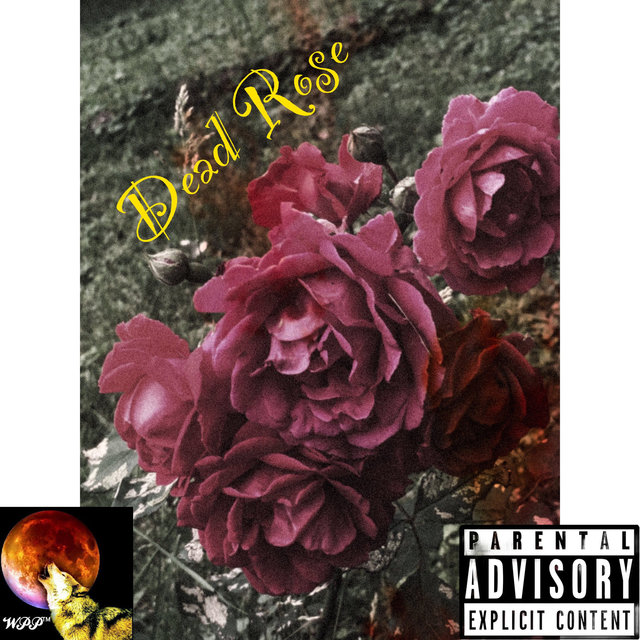 Dead Rose