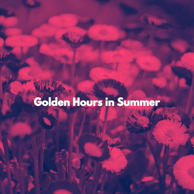 Golden Hours in Summer