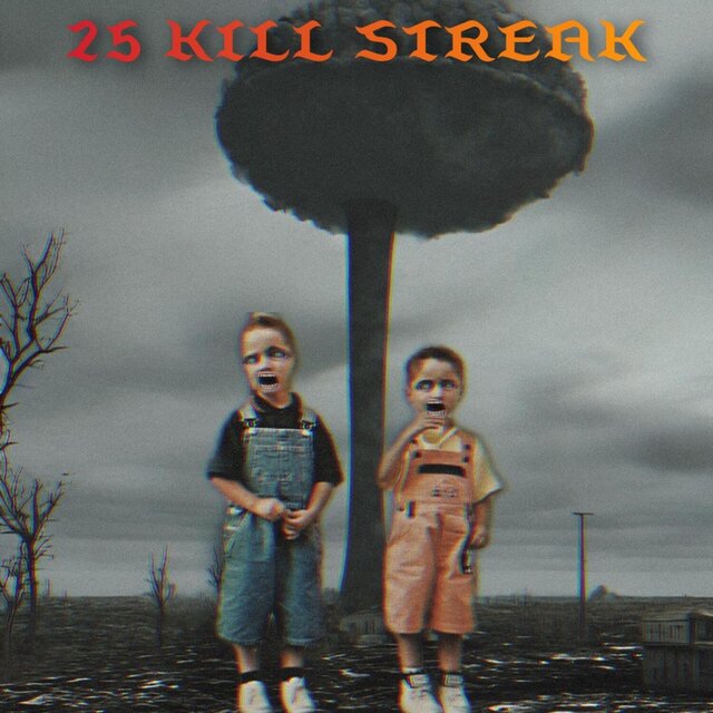 25 Kill Streak