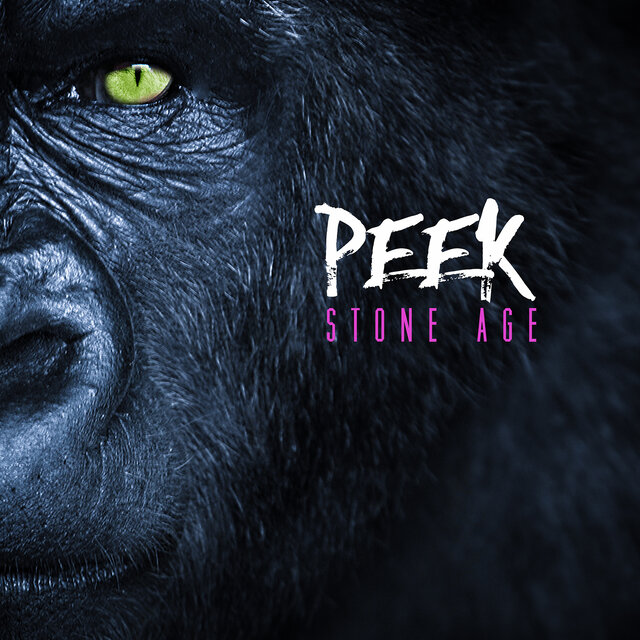 Stone Age