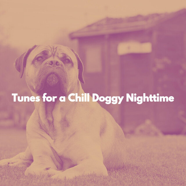 Tunes for a Chill Doggy Nighttime