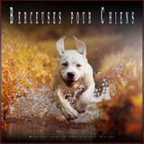 Musique pour détendre mon chien