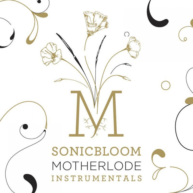 Motherlode Instrumentals