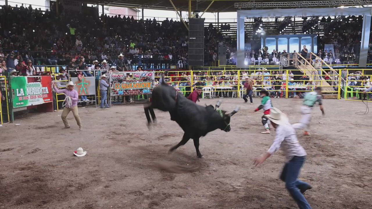 El Toro Mambo