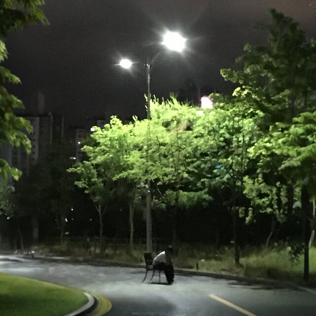 장마 2