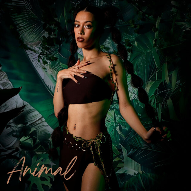 Animal